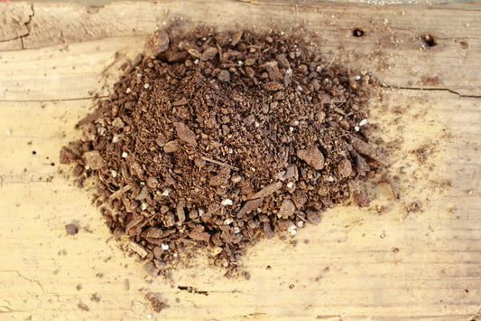 Open terrarium succulent soil - Our own i-go-eco mix.