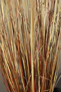 Carex Red Rooster