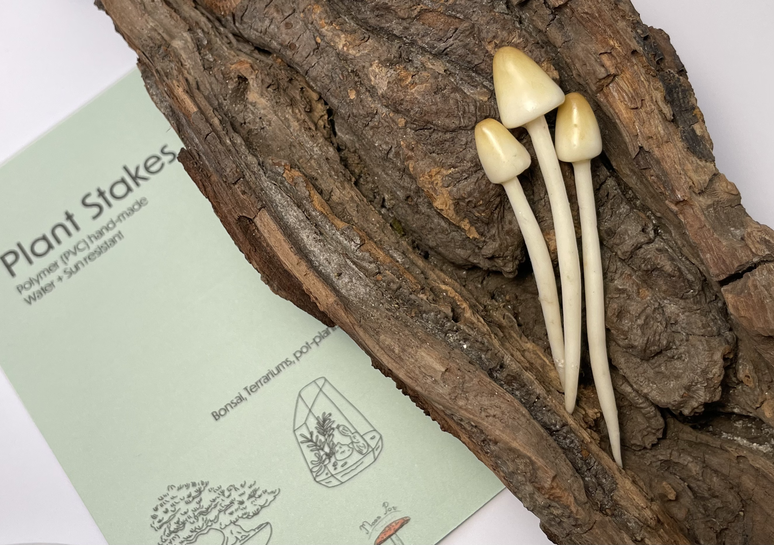 White Cap Mushroom stakes