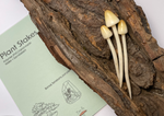 Load image into Gallery viewer, White Cap Mushroom stakes
