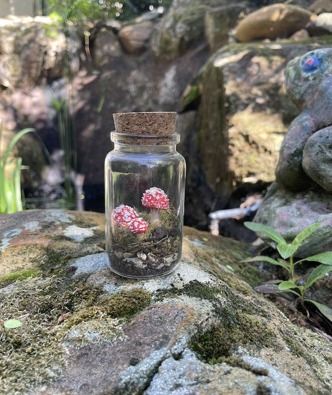 Red Agaric Mushroom stakes