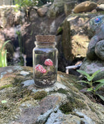 Load image into Gallery viewer, Red Agaric Mushroom stakes
