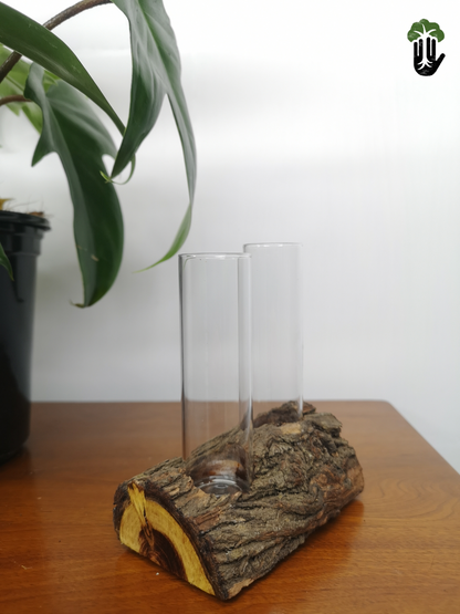 Propagation Station