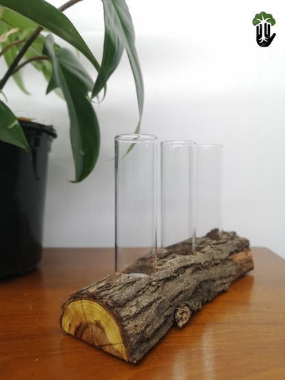 Propagation Station
