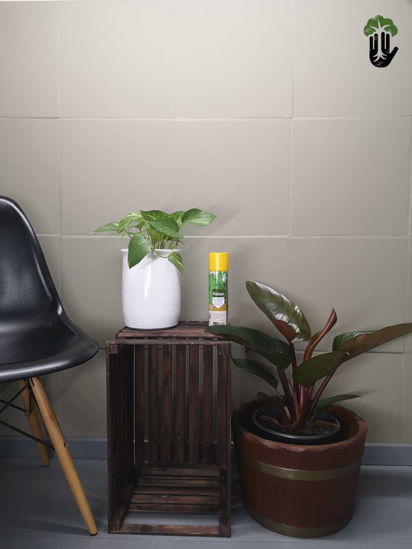 Leaf shine - 250ML