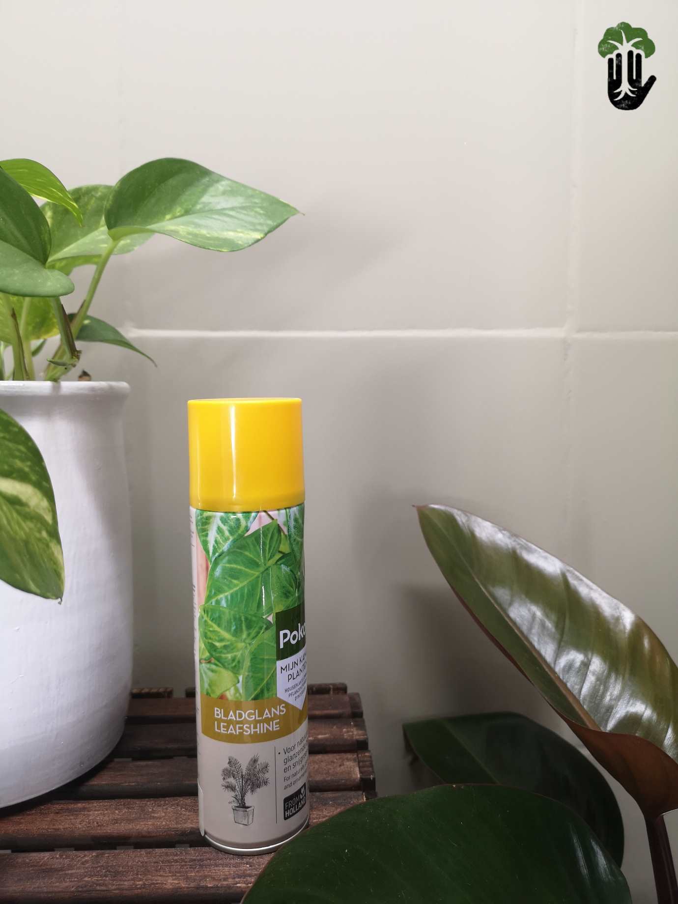 Leaf shine - 250ML