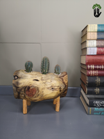 Load image into Gallery viewer, Trunk Planter
