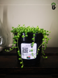 String of pearls