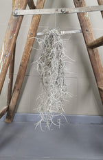 Load image into Gallery viewer, Spanish Moss

