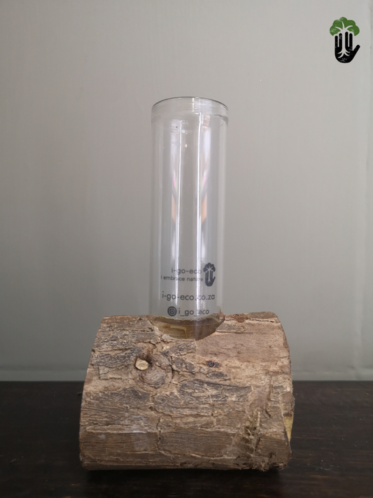 Propagation Station - Single - Log