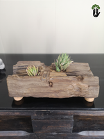 Load image into Gallery viewer, Sleeper Planter
