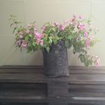 Load image into Gallery viewer, Bougainvillea
