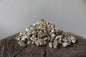 Vermiculite