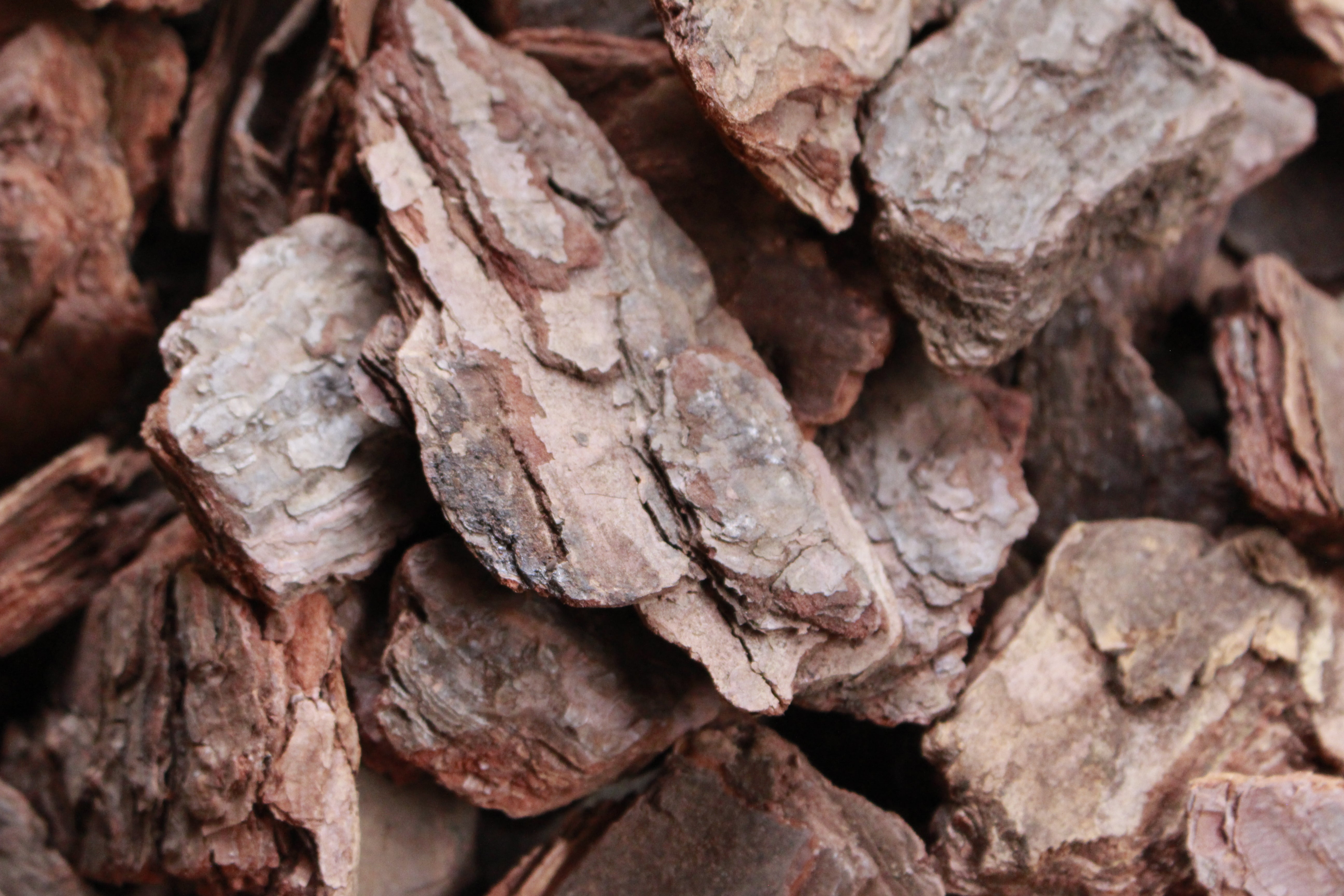 Bark Chips medium